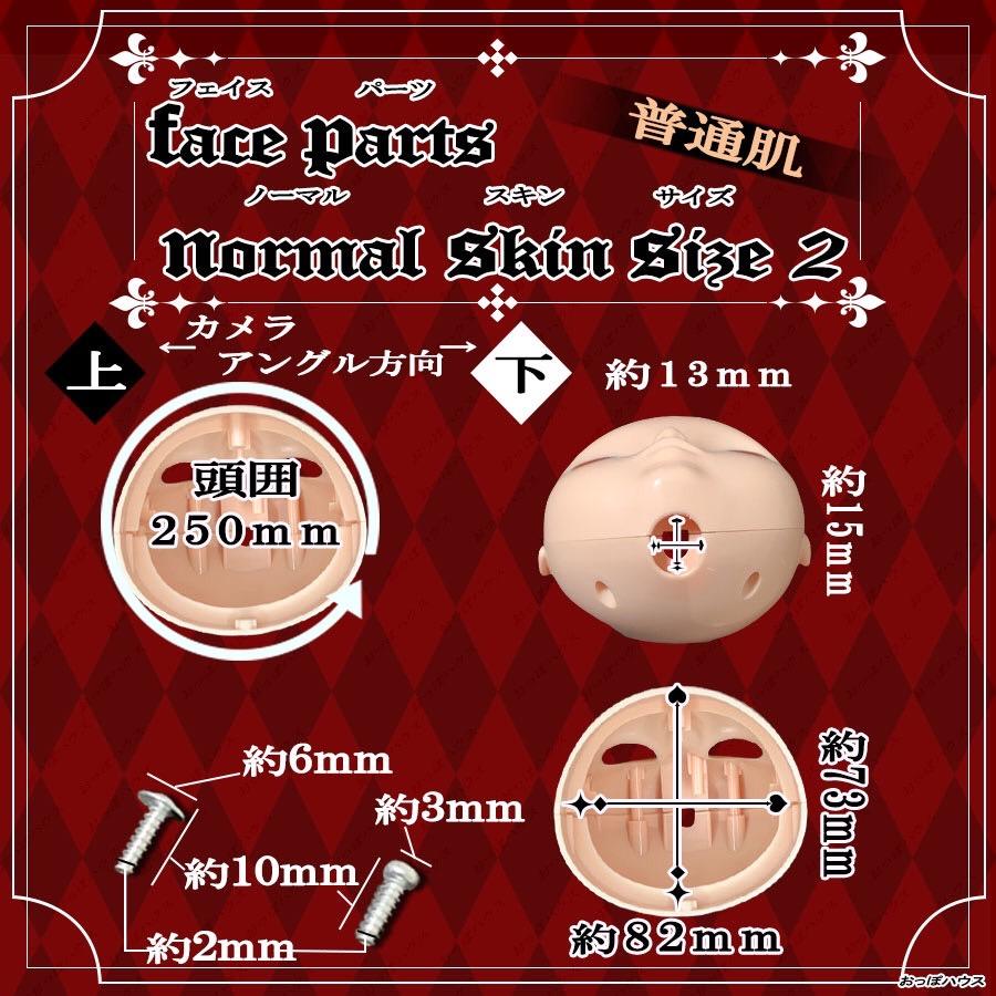 1/6 カスタム フェイスパーツ ブライス・アイシードール用 白肌/普通肌