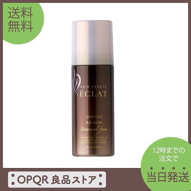 代引き人気 ヘアボーテ エクラ ボタニカル エアカラーフォーム ダークブラウン 80g 白髪染め sarozambia.com 代引き人気 ヘアボーテ エクラ ボタニカル エアカラーフォーム ダークブラウン 80g 白髪染め sarozambia.com