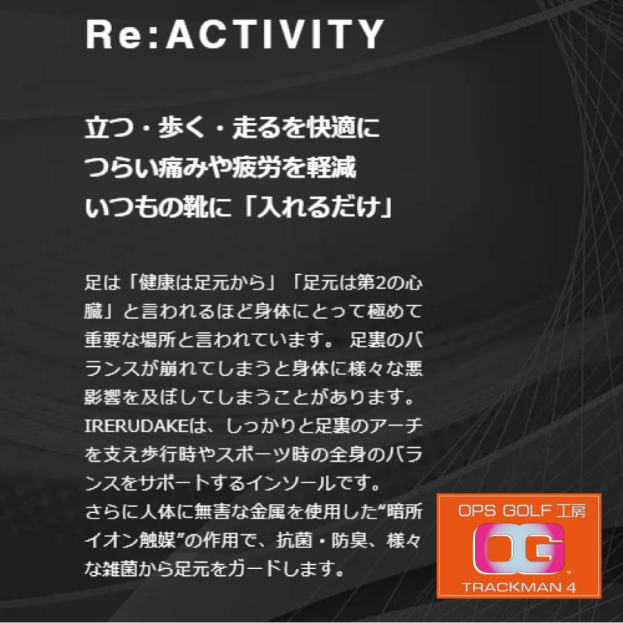 IRERU DAKE　インソール |  | 02