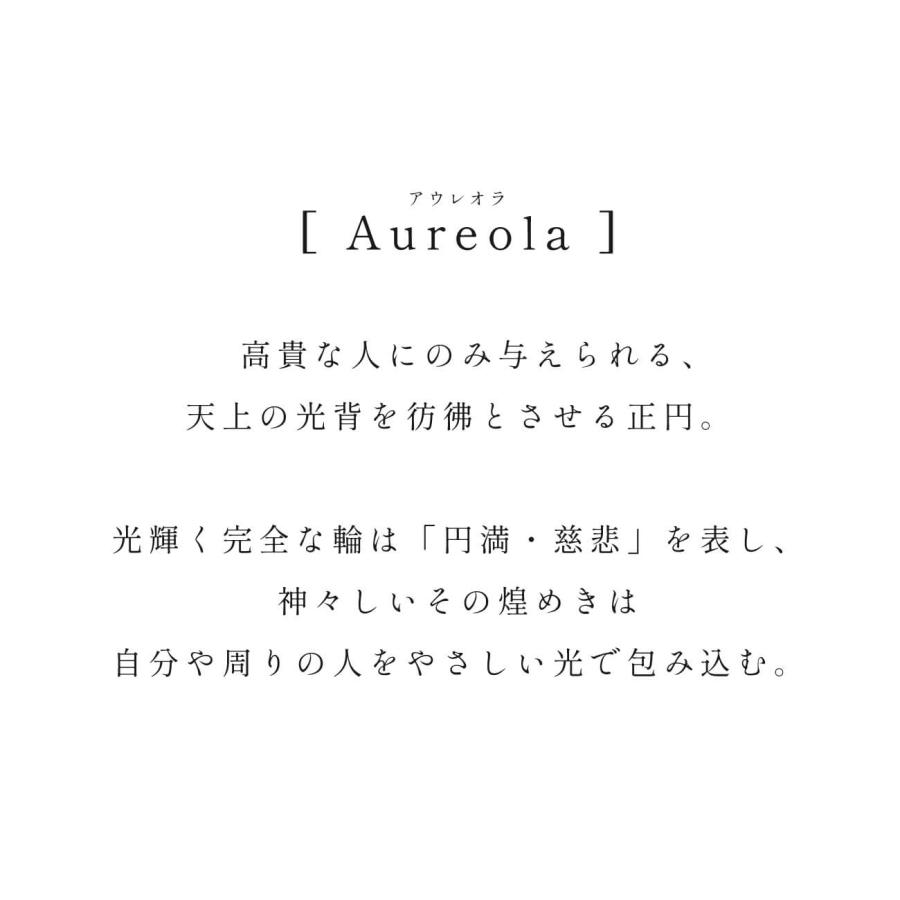 リング レディース シルバー925 リング 指輪 金属アレルギー 対応 【AUREOLA アウレオラシリーズ】 k18 シルバー 太め ラウンド 丸 シンプル ゴールド｜ops-jewel｜03