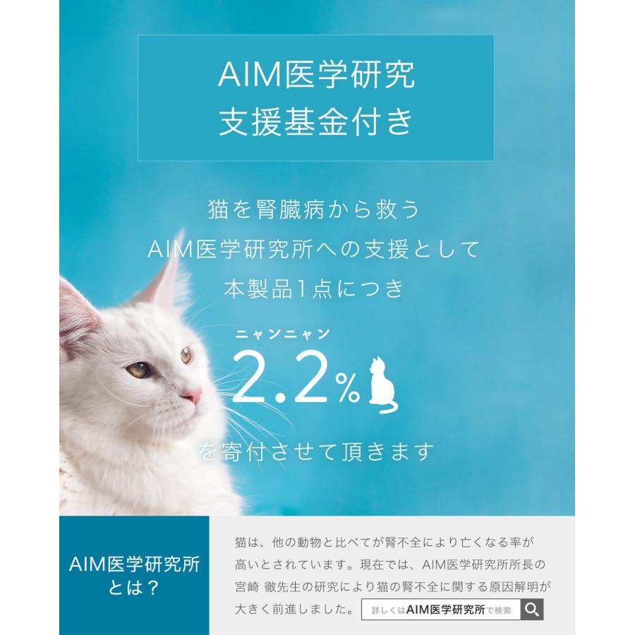 爆買 ピアス レディース 猫 ねこ 10k つけっぱなし 小さめ 天然ダイヤ 【ZOI ゾイシリーズ】 ブラックダイヤモンド ルビー ダイヤモンド k10 ゴールドの画像