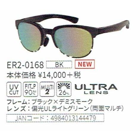 SWANSスワンズサングラス er-2 ER2-0168-BK