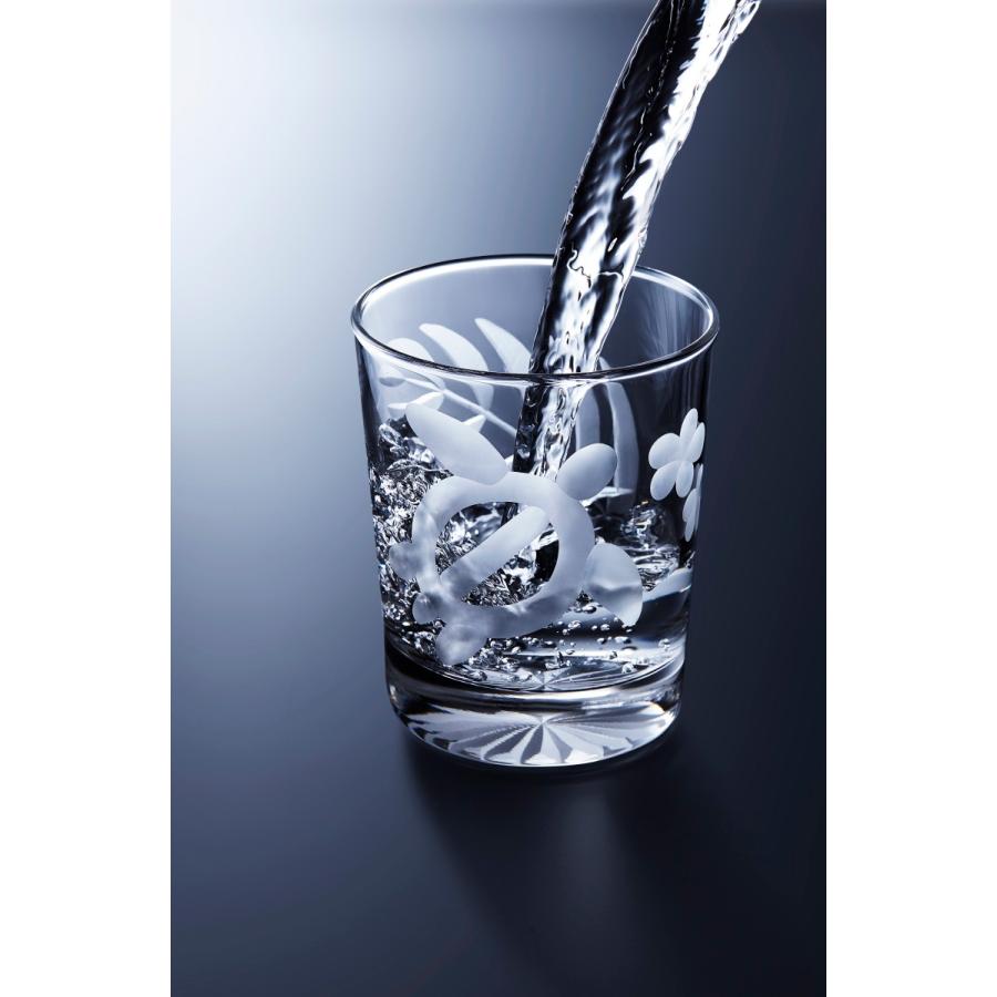 ハワイアンスタイル　　東京切子ロックグラス-ホヌ |  | 02