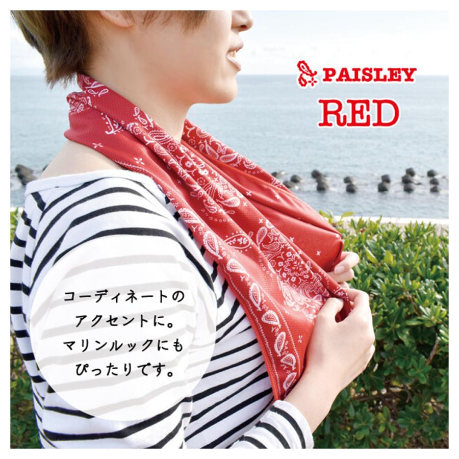 クールタオル PAISLEY コンパクト カラフル ペイズリー 柄 冷感 タオル 涼しい 冷たい 猛暑 対策 旅行 旅 便利グッズ 行楽 フィットネス ジム スポーツ 観戦 |  | 03