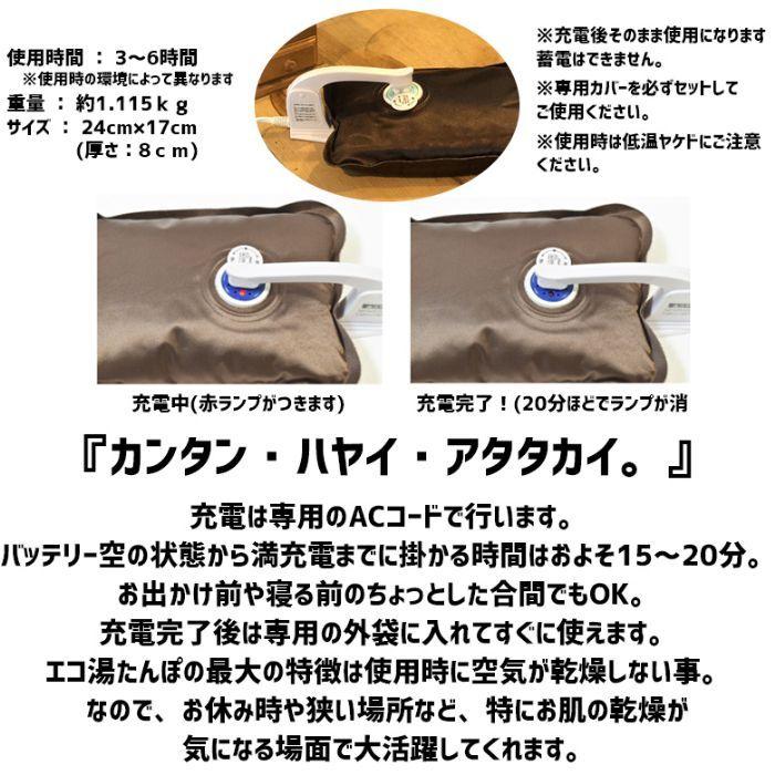 買収 Eco Tanpo 充電式 湯たんぽ 蓄熱式 かわいい おしゃれ 防寒 観戦 カバー ハンドウォーマー おやすみ 車中泊 冬 あったか グッズ Wantannas Go Id