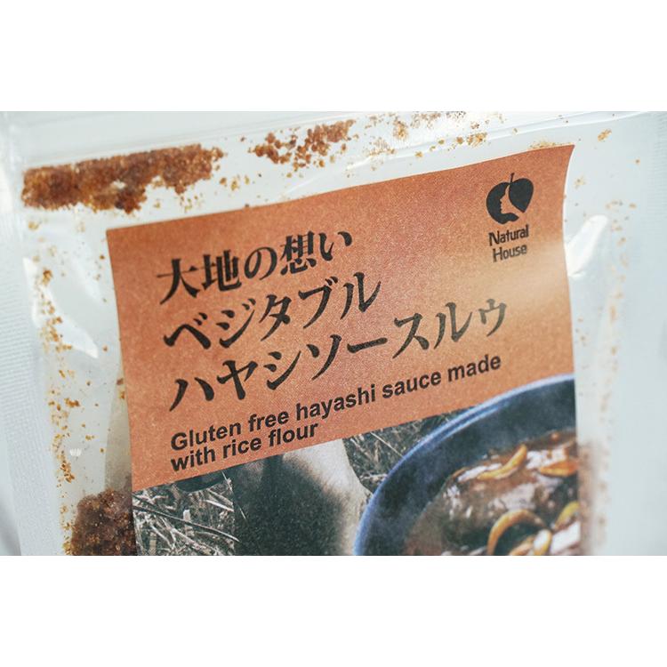大地の想い 佐藤さんの米粉を使ったベジタブルハヤシソースルゥ 110g :P000440:ORGANIC STORY - 通販 -  Yahoo!ショッピング