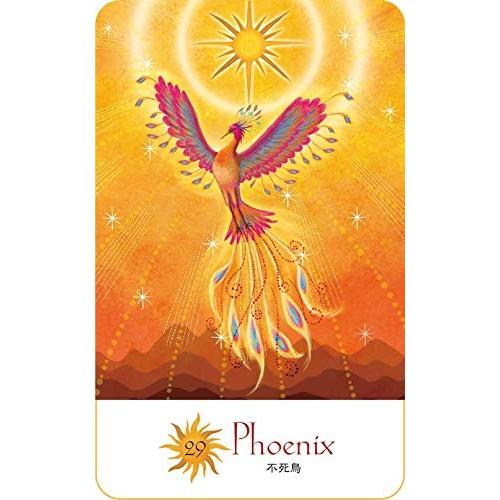 太陽と月の魔女カードwithフェニックス ドラゴン 01 32 007 オラクル タロットカード全集 通販 Yahoo ショッピング
