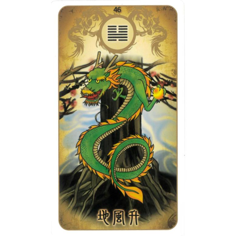 超希少☆新品未使用　台湾流 龍羽易占カード 龍羽ワタナベ　DVD付き　人相学 Amazon | 新・龍羽台湾流易占カード ｜ 龍羽ワタナベ ｜ カード