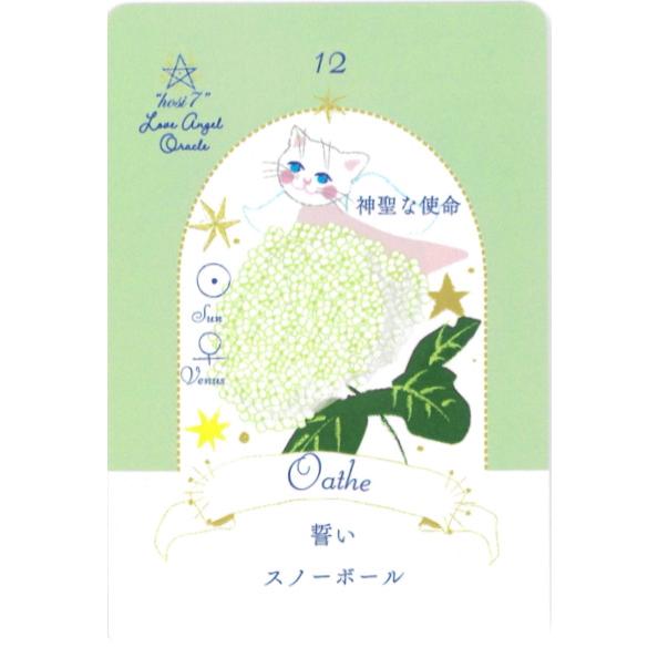 hosi7ラブエンジェルオラクル ｜ hosi7 / ほしなな ｜ カード32枚 日本