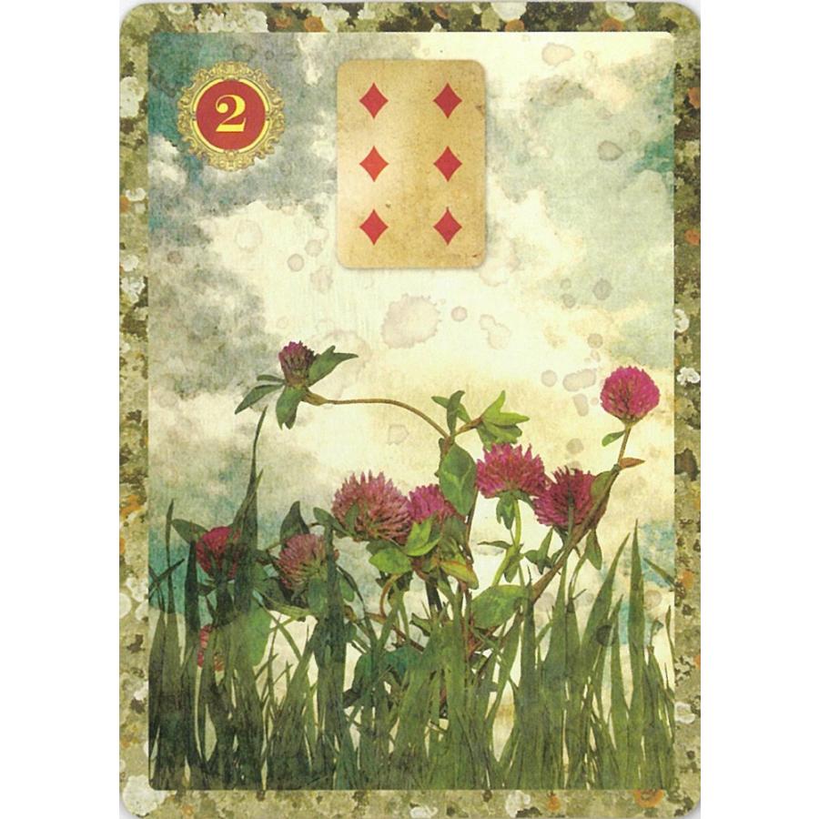 マルペチュー・ルノルマン [ Malpertuis Lenormand ]（Malpertuis Designs ltd.）｛ルノルマンカード｝｜oracle-tarot｜04