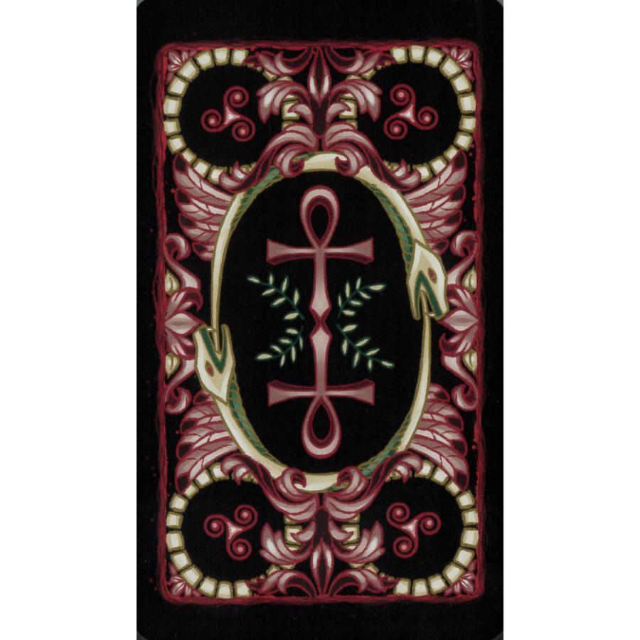 タロットアトミック〈 Le Tarot Atmique 〉【正規品】｜oracle-tarot｜10