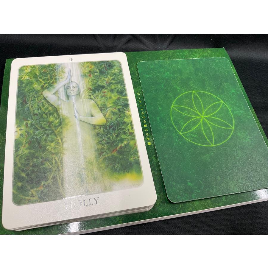 The Tree Angel Oracle: トゥリーエンジェルオラクル 樹木の天使からの
