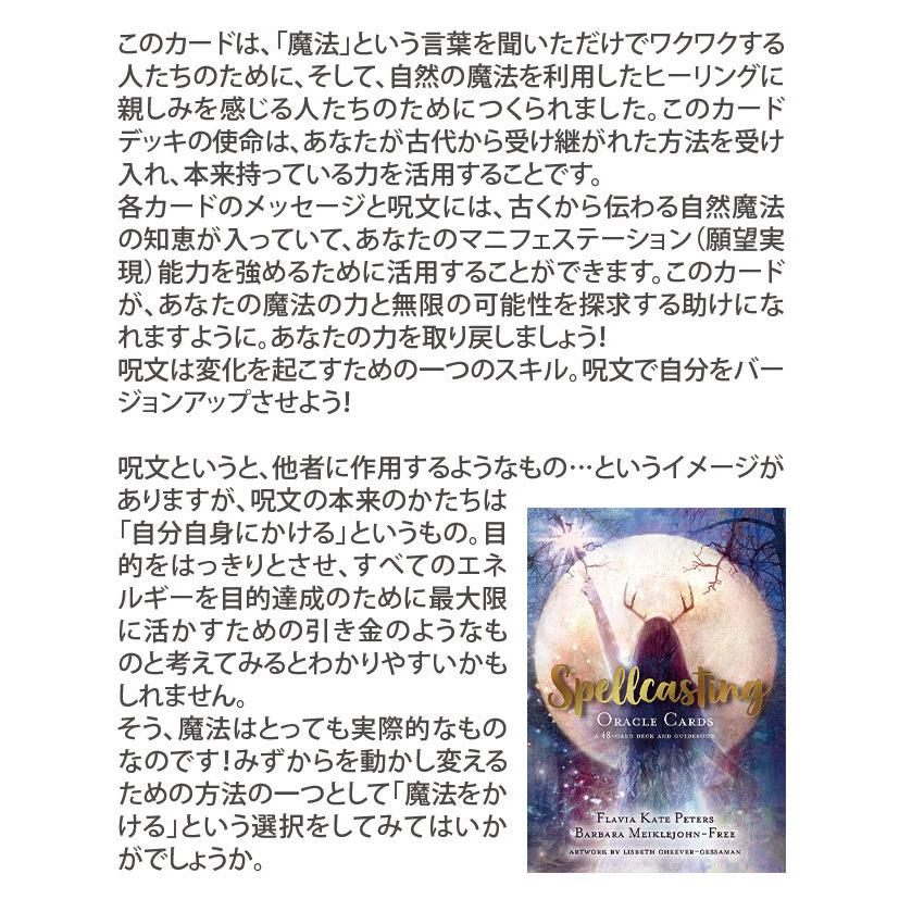 オラクルカード スペルキャスティングオラクルカード 日本語解説書付属 フラビア・ケイト・ピーターズ バーバラ・ミクルジョン=フリー |  | 02