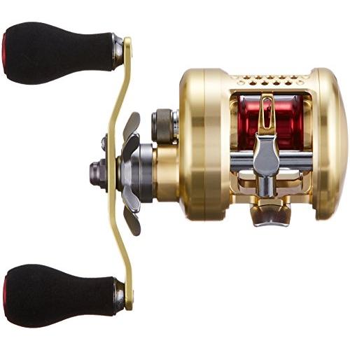 （新品,未開封） ダイワ(DAIWA) 両軸リール 14 ミリオネア 100 (2014モデル) 【QGW7446767778】(26753円)