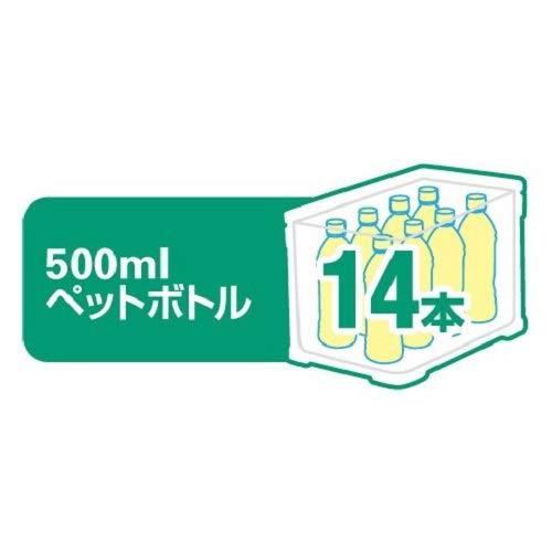 シマノ(SHIMANO) クーラーボックス フィクセル ライト RS 170 ホワイトブルー NF-G17S 