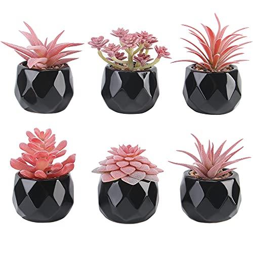 鉢植え 人工多肉植物 デスクデコレーション - 女性用オフィス装飾 - デスクプラント ブラック装飾 キュートなデスクアクセサリー 6個パック 