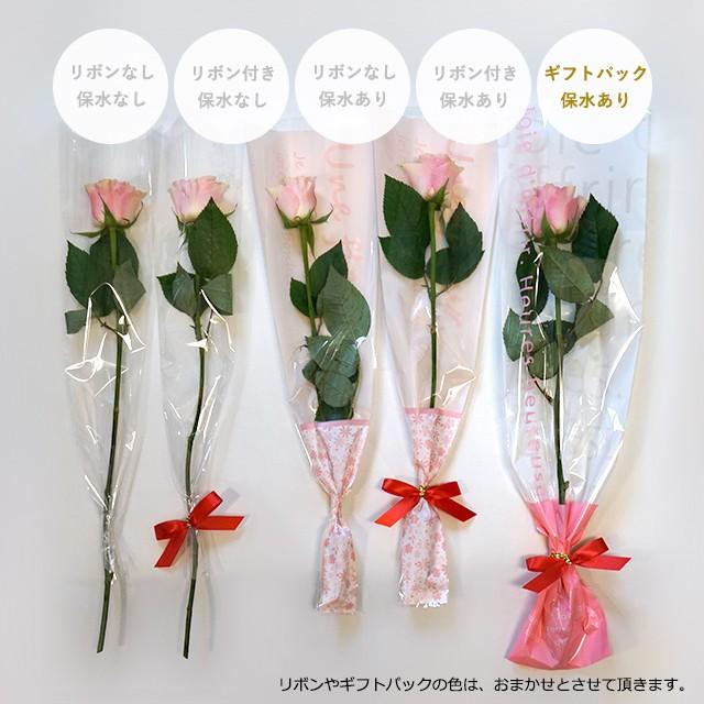バラの1本ラッピング ギフトパック＆リボン付き 保水あり(10本〜99本