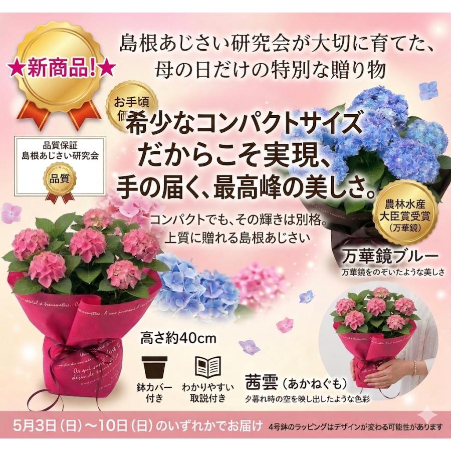 母の日対応商品】島根の傑作あじさい「万華鏡」「月うさぎ」「茜雲