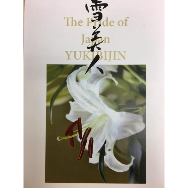 カサブランカ ユリの女王 雪美人 の球根 10球 限定販売 Yukibijin 10 オランダ屋 通販 Yahoo ショッピング