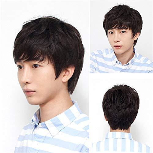Remeehi人毛ウィッグ ショートウィッグ メンズ用 ストレート フルウィッグ ファッションウィッグ 男子用 自然 手植え 抗菌ネット 自然黒 