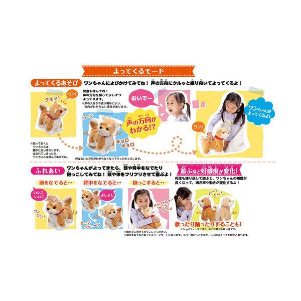 イワヤ おいで！おいで！よってくる！部屋ともワンちゃん 柴犬【送料