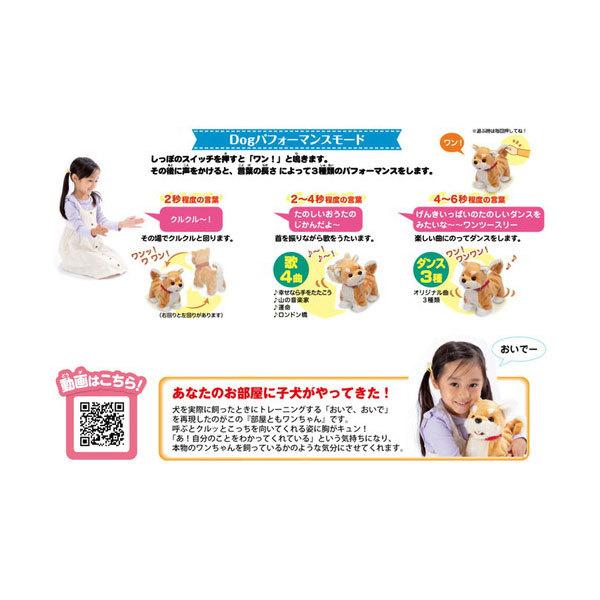 イワヤ おいで！おいで！よってくる！部屋ともワンちゃん 柴犬【送料 