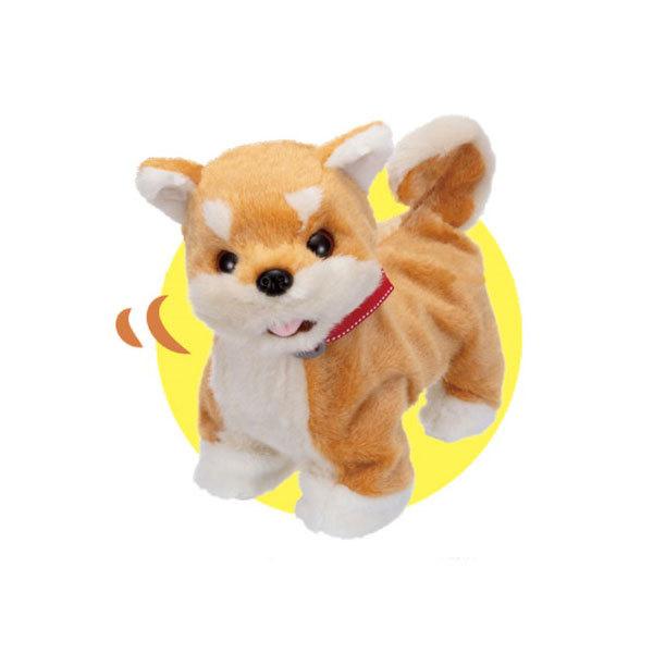 イワヤ おいで！おいで！よってくる！部屋ともワンちゃん 柴犬【送料