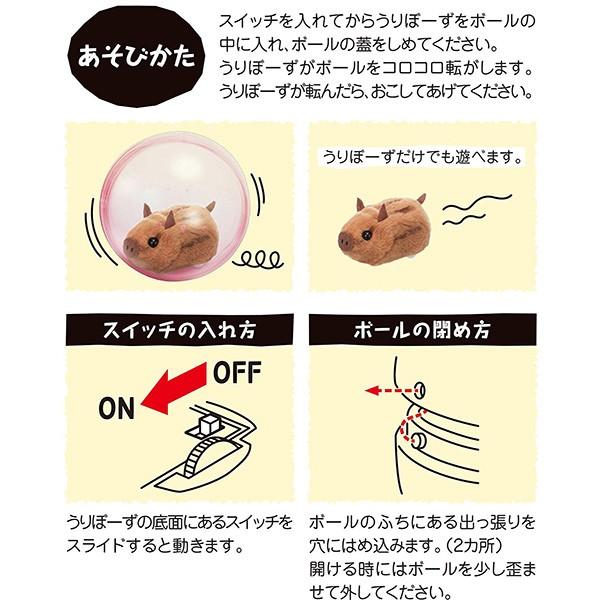 イワヤ RUNRUN  ランラン うりぼーず【送料無料　沖縄・一部地域を除く】 | イワヤ | 03