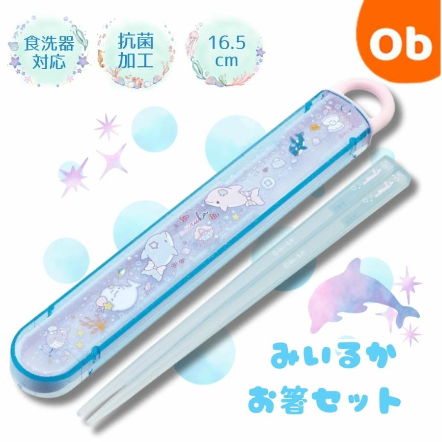 スケーター お箸セット ケース付き 食洗器対応 みいるか【ネコポス