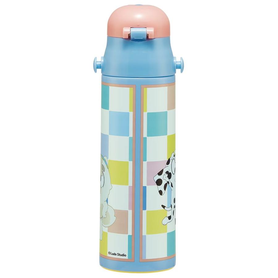 スケーター 超軽量ダイレクトボトル ブルーイ Bluey 水筒 580ml 直飲み