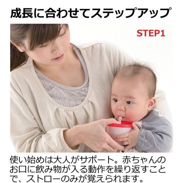 リッチェル ストローマグ アクリア いきなりストローマグセットR リッチェル ストローマグ アクリア いきなりストローマグセットR