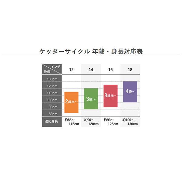 ピープル ケッターサイクルII 14インチ ブルーミングターコイズ【ラッピング不可商品】【送料無料 沖縄・一部地域を除く】の画像