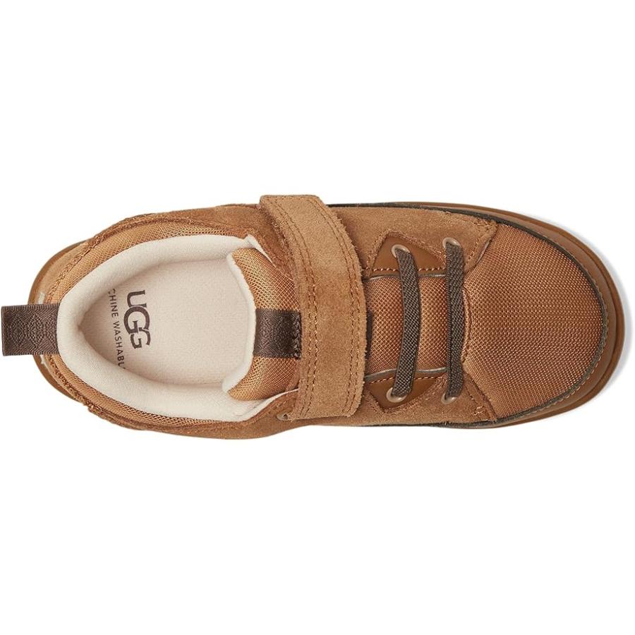 アグオーストラリア UGG Kids アドベンチャーr Sneaker (Toddler/Little Kid) キッズ・ジュニア スニーカー Che