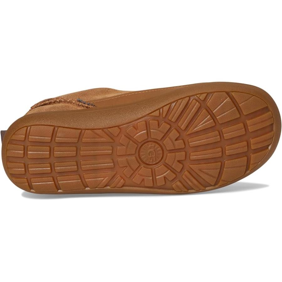 アグオーストラリア UGG Kids アドベンチャーr Sneaker (Toddler/Little Kid) キッズ・ジュニア スニーカー Che