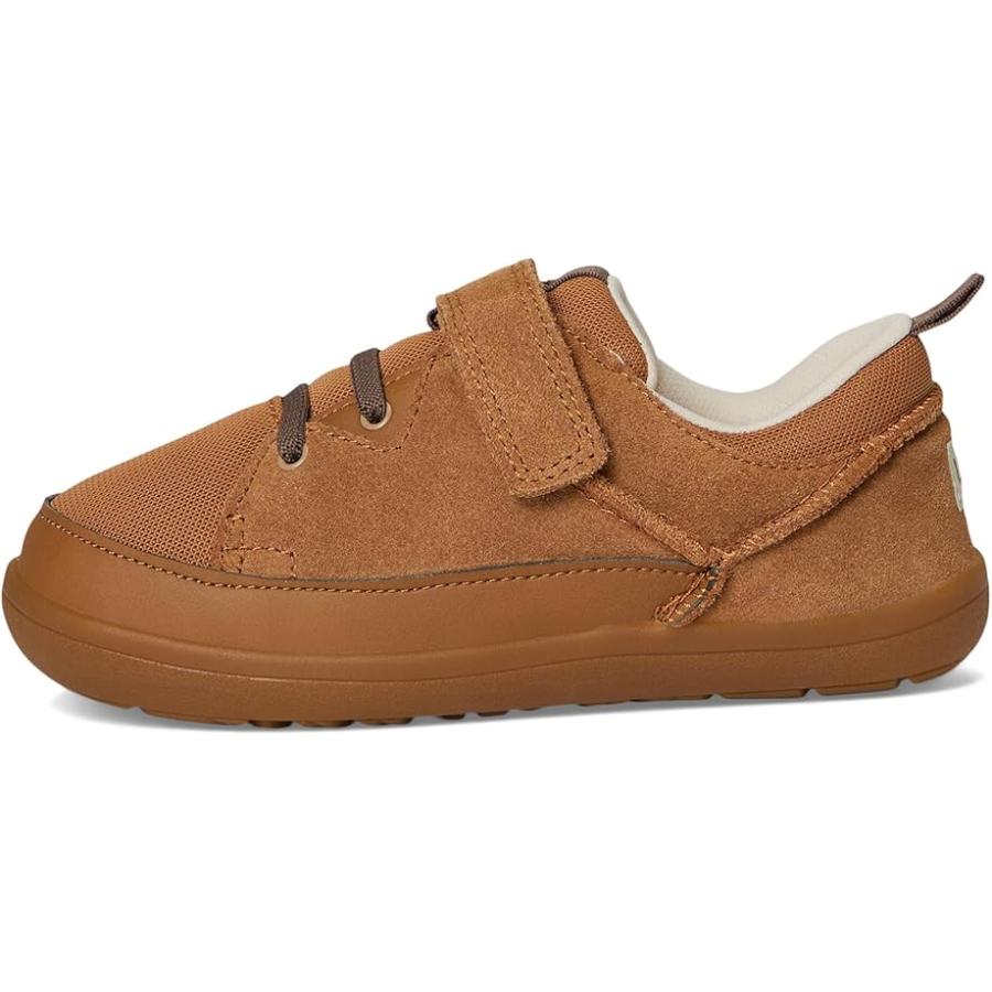 アグオーストラリア UGG Kids アドベンチャーr Sneaker (Toddler/Little Kid) キッズ・ジュニア スニーカー Che