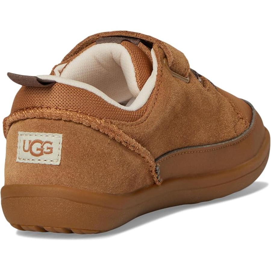 アグオーストラリア UGG Kids アドベンチャーr Sneaker (Toddler/Little Kid) キッズ・ジュニア スニーカー Che
