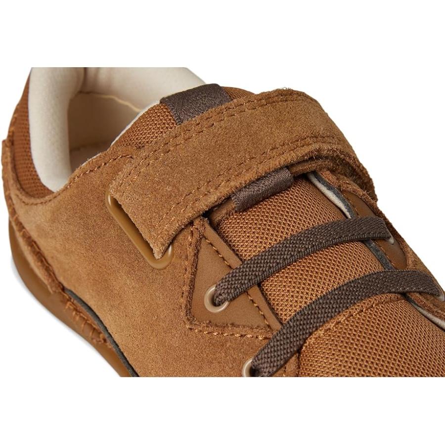 アグオーストラリア UGG Kids アドベンチャーr Sneaker (Toddler/Little Kid) キッズ・ジュニア スニーカー Che