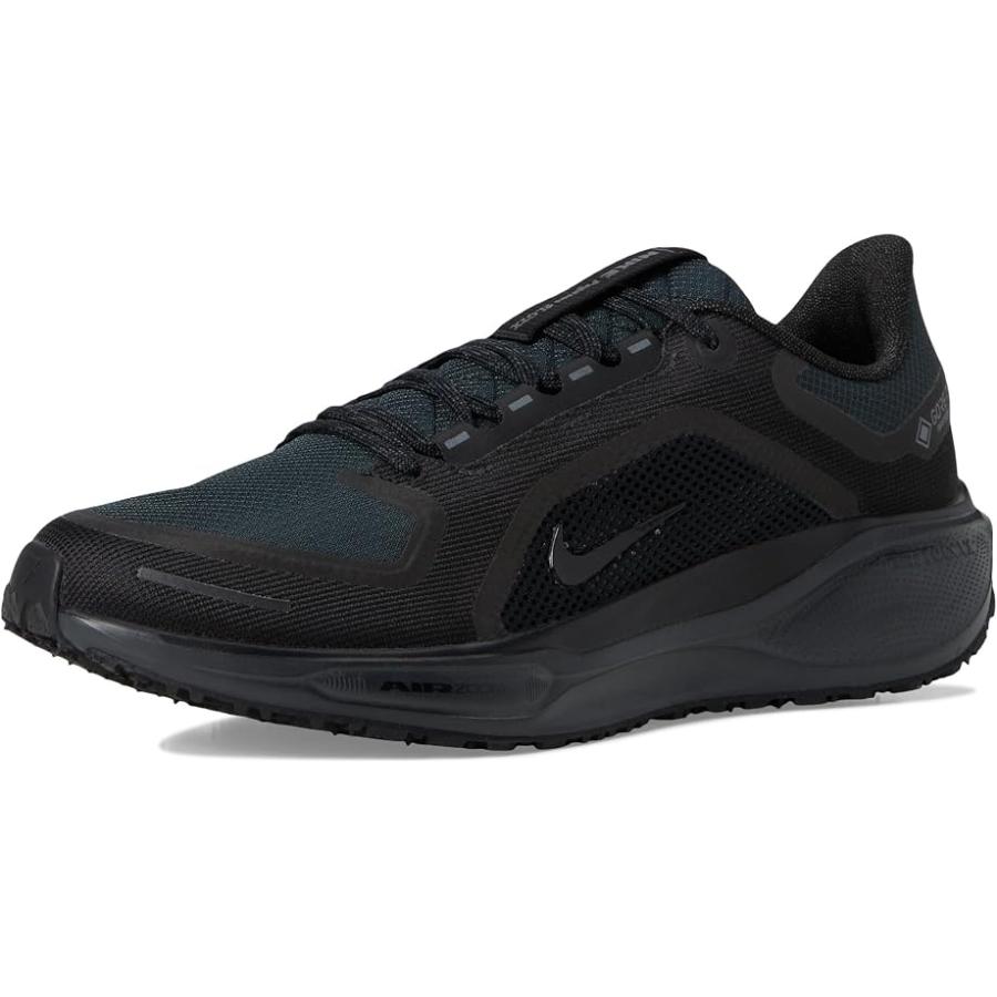 NIKE（ナイキ） ペガサス 41 ゴアテックス メンズ スニーカー Black