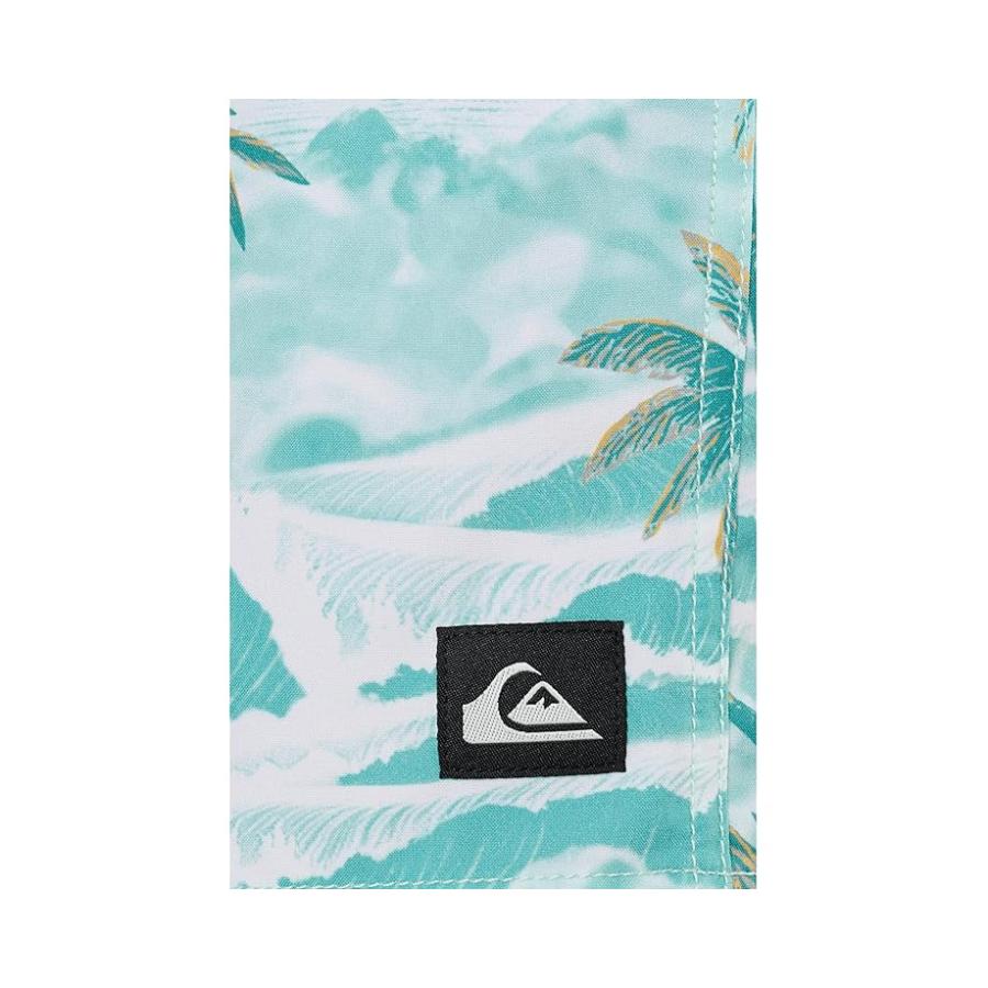 クイックシルバー Quiksilver Mix Volley 17 メンズ 水着 スイムウェア Blue Hazeの画像