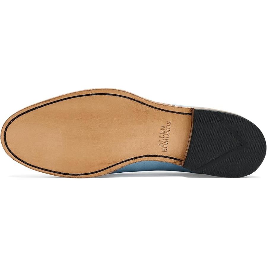 アレン エドモンズ Allen Edmonds Randtassel Loafer/モック シューズ メンズ ローファー Light Blue Sueの画像