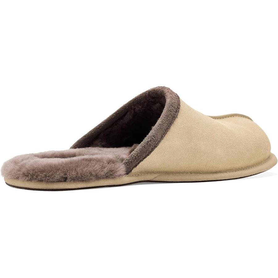アグオーストラリア UGG Scuff メンズ スリッパ Mustard Seed/Molassesの画像
