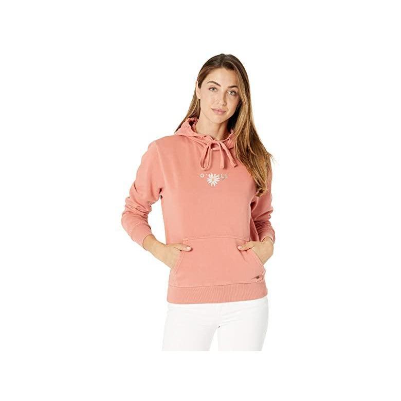 送料込 スウェット パーカー レディース Hoodie Pullover Offshore オニール ブランド 人気 新作 日本未発売 海外限定 フード Clay Canyon トップス Www Leahbeeferman Com