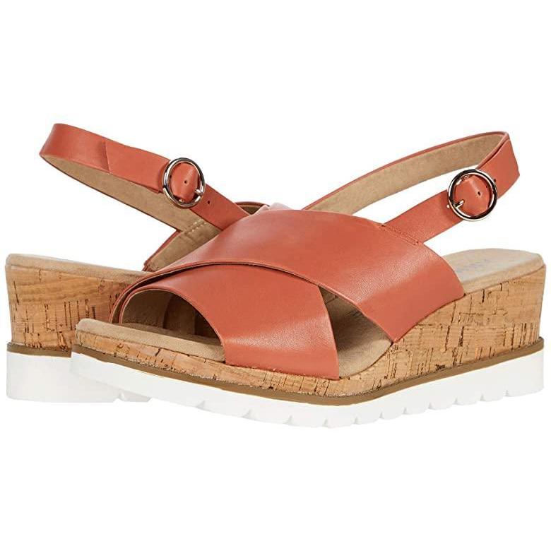 売れ筋新商品 日本未発売 海外限定 新作 Terracotta パンプス ヒール レディース Haven アンクライン ブランド 人気 シューズ Www Lapamuzejs Lv