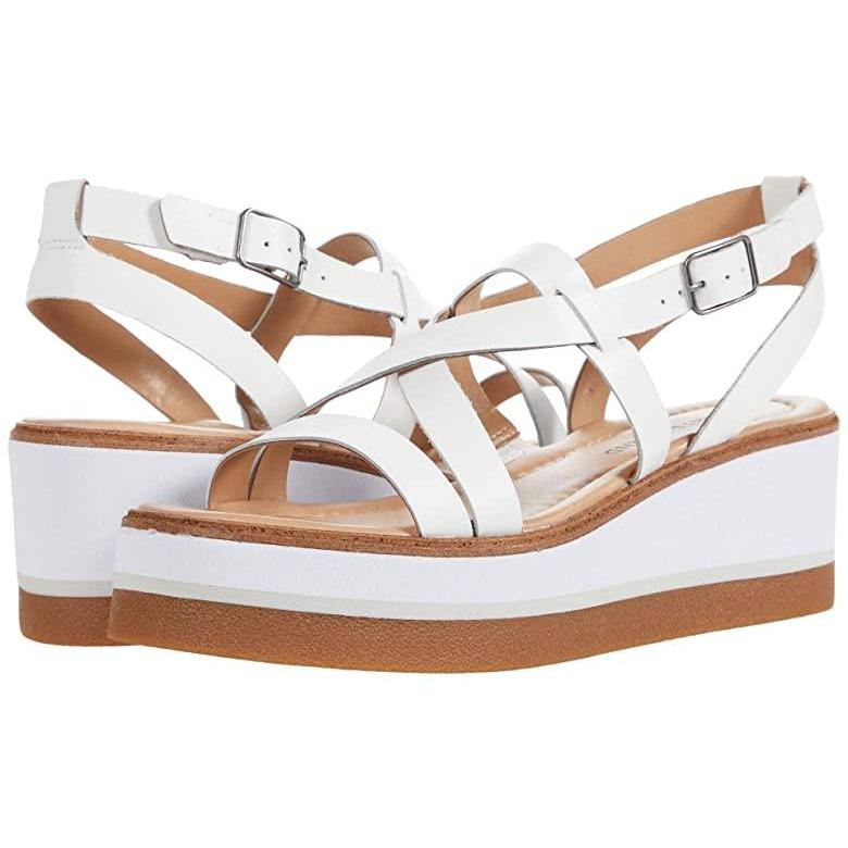 使い勝手の良い 日本未発売 海外限定 新作 White パンプス ヒール レディース Ticey ラッキーブランド ブランド 人気 シューズ Www Lapamuzejs Lv