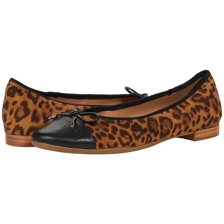 高級品市場 Aerosoles Celia レディース フラットシューズ Leopard フラットシューズ レディースサイズ 11 Www Oroagri Eu
