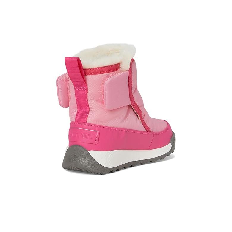 ソレル SOREL Kids Whitney II Plus Bootie WP (Toddler/Little Kid) キッズ・ジュニア Boot_4
