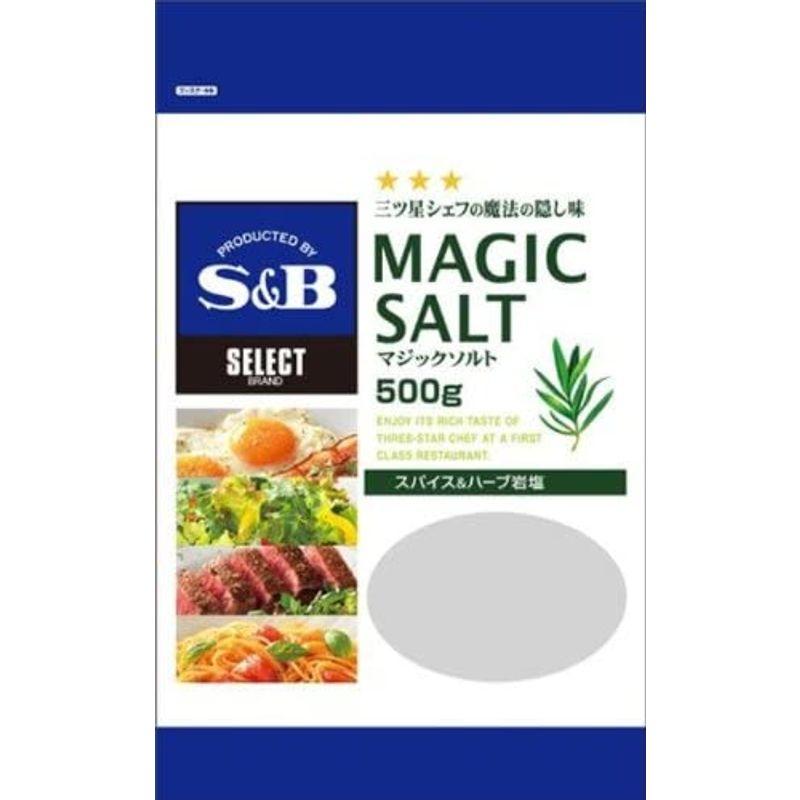 半額SALE／ SB セレクトスパイス マジックソルト 500g 塩