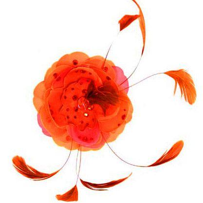 タリナタランティーノ Tarina Tarantino フェザー＆ラージ