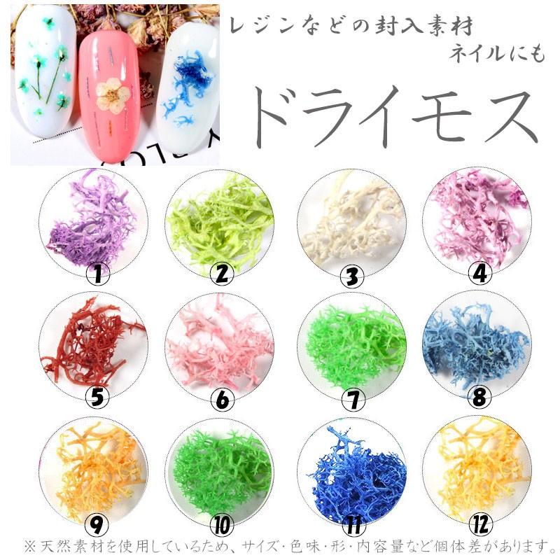 ドライモス 12カラー 最大93 Offクーポン セット ネイル 12色 ネイル用品 ホイル ジェルネイル ミニチュア の埋め込みに レジンパーツ プリザーブ ソフトモス アイスランド 乾燥苔