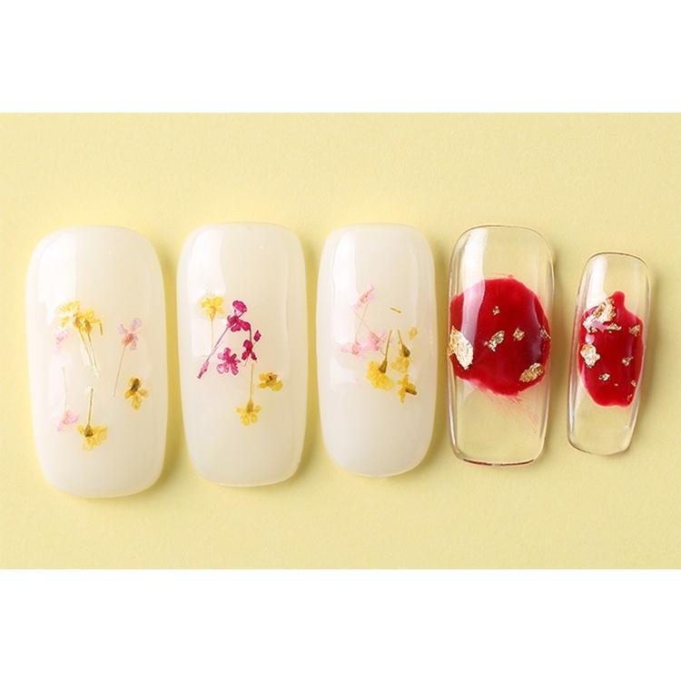 大量 ネイル 押し花 ドライフラワー 10枚入り ケース入り レジン 花 12
